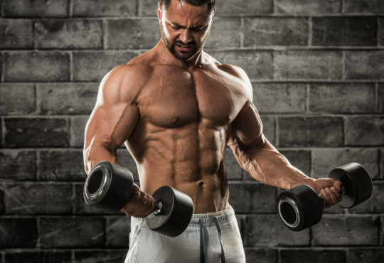 Intense Workouts for Muscle Building